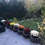 Vip 67