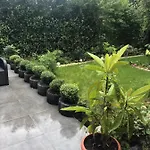Vip 67