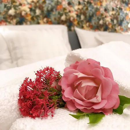 Apartamento Vip 67 Eupen