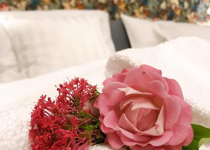 Apartment Vip 67 Eupen